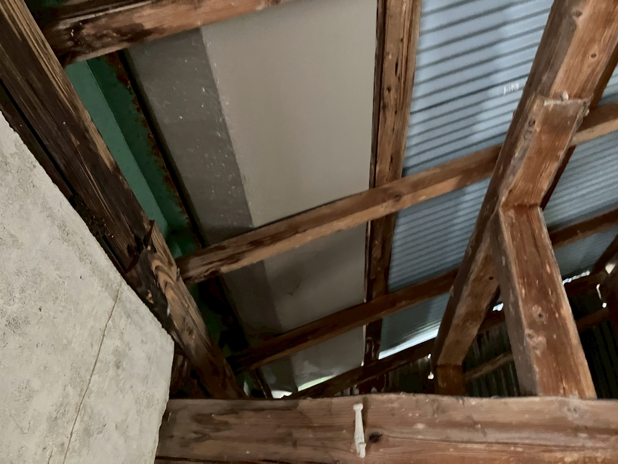 トタン屋根を下から見た様子